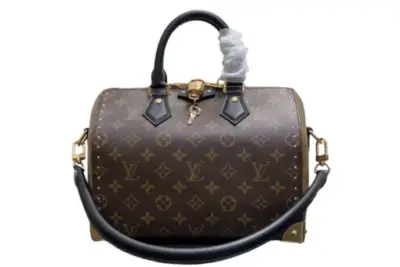 LV Speedy Trunk 20 Handbag Dark Brown
