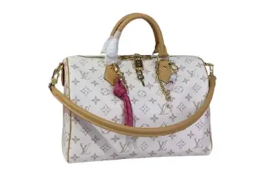 LV Speedy Soft 30 Lucky Bag Monogram Dune Canvas