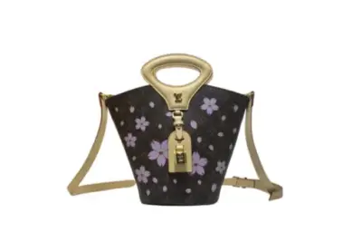 LV Rivage BB Monogram Canvas Bag