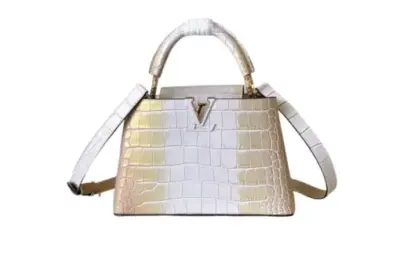 LV Bag
