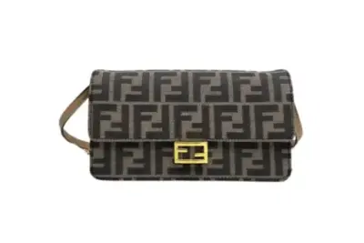Fendi Bag