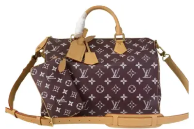 LV Bag