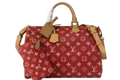 LV Bag