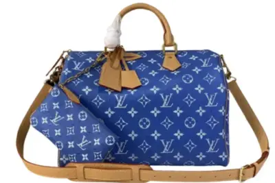 LV Bag