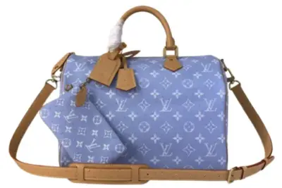 LV Bag