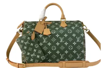 LV Bag