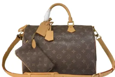 LV Bag