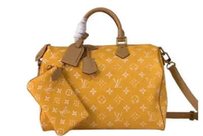 LV Bag
