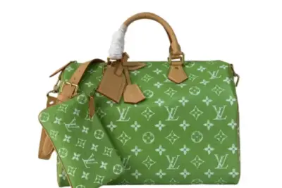 LV Bag