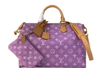 LV Bag