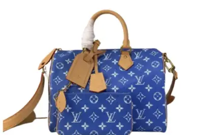 LV Bag