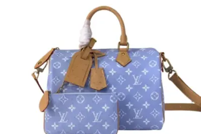 LV Bags
