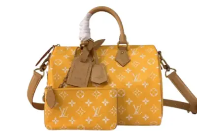 LV Bag