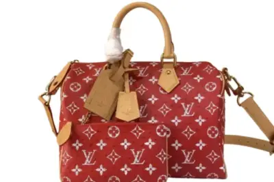 LV Bags