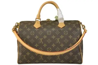 LV Bags