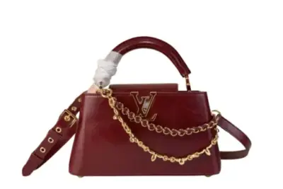 LV Bag