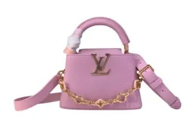 LV Bag