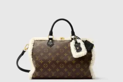 LV Speedy Soft 30 Teddy Bag Brown