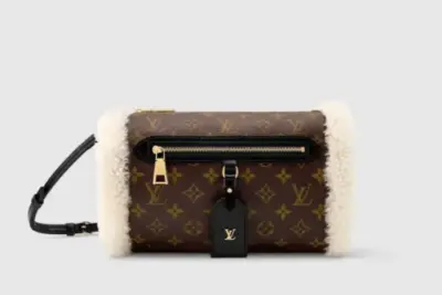 LV Teddy Mitt Monogram Bag Brown