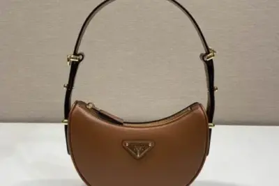 Prada Moon Handbag in Brown