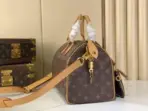 LV Speedy P9 Bandouliere 25 Handbag Brown Monogram Calfskin Leather - Image 2