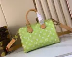 LV Speedy P9 Bandouliere 40 Frozen Lime Vert Clair - Image 2