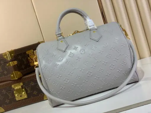 LV Speedy Soft 30 Bag Cloud Gray - Image 3