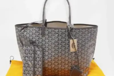 Goyard Saint Louis PM Tote Bag Brown