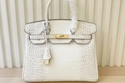 Hermes Birkin Togo Bag Crocodile White