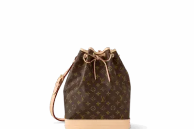 LV Monogram Canvas Noé BB Bag